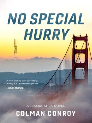 cover image of No Special Hurry